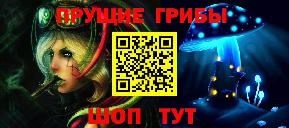 Псилоцибиновые грибы прущие грибы Кимры