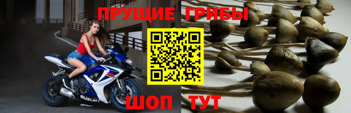 Кимры  Галлюциногенные грибы ЛСД  Вход с VPN 