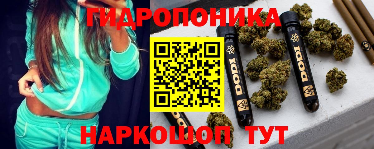 Канабис план Кимры